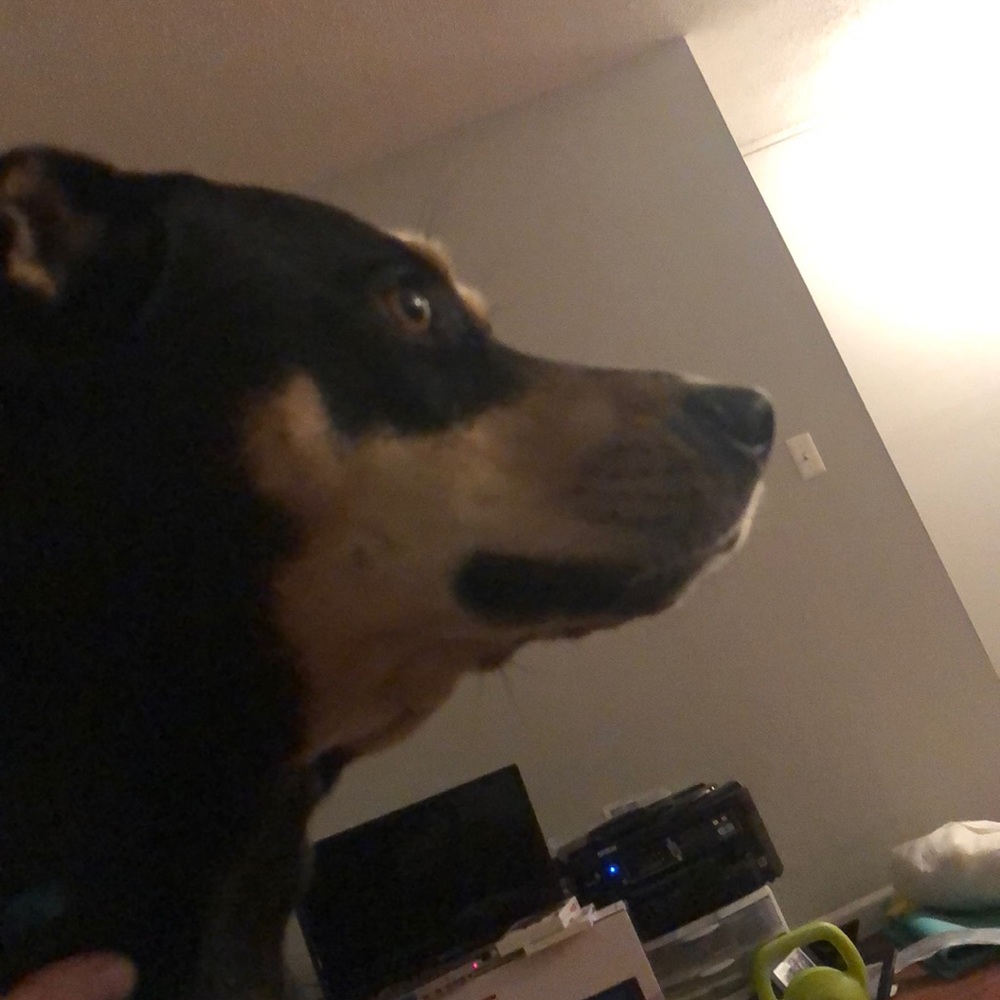 Meet your Posher, Allison